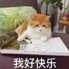 RabbitMQ入門，我是動了心的