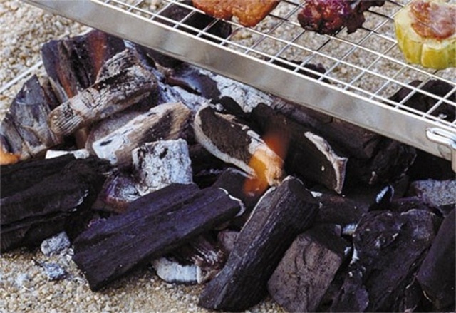 說到“新能源”就只有電動車嗎？